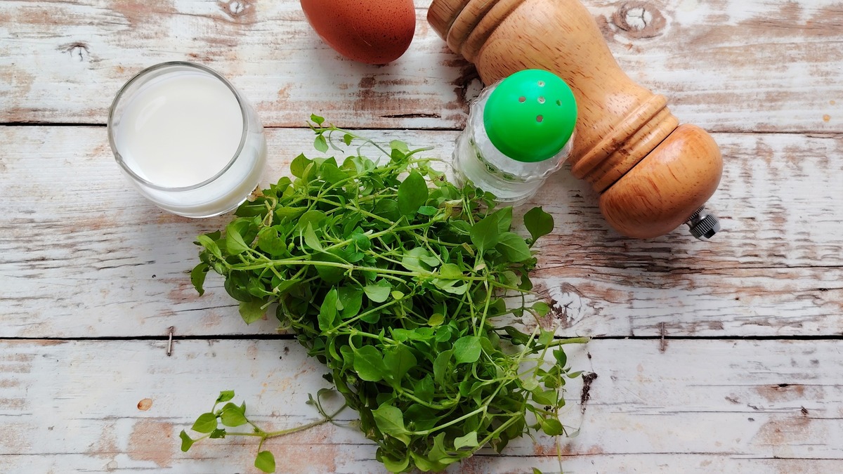 Приготовить продукты по списку. По желанию можно использовать любую зелень, не менее вкусен омлет получится со смесью из зеленого лука, петрушки и укропа, такую зелень, если нет своего участка, можно найти в любом магазине.