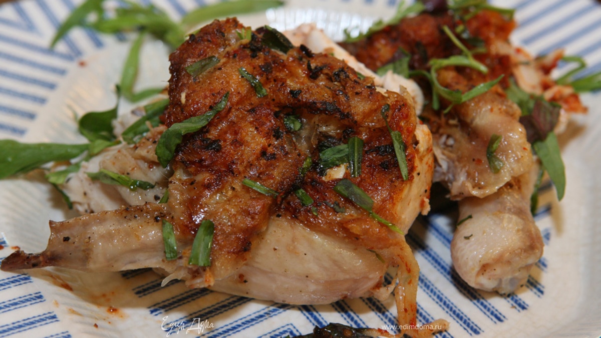 Цыпленок тапака