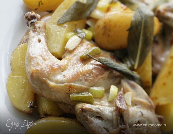 Куропатки с шалфеем Куропатки с шалфеем