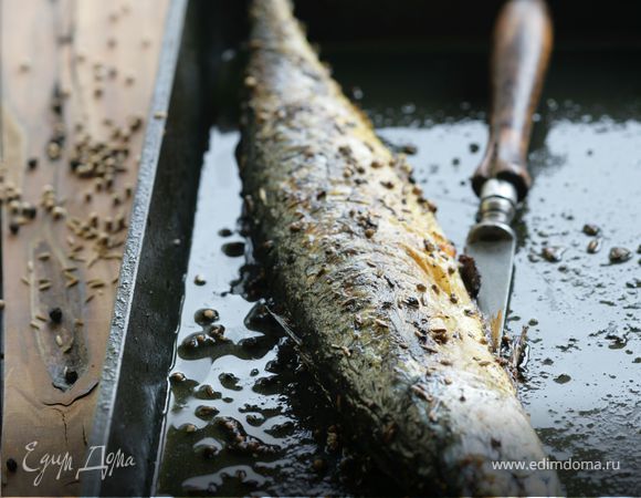 Скумбрия в специях на гриле Скумбрия в специях на гриле