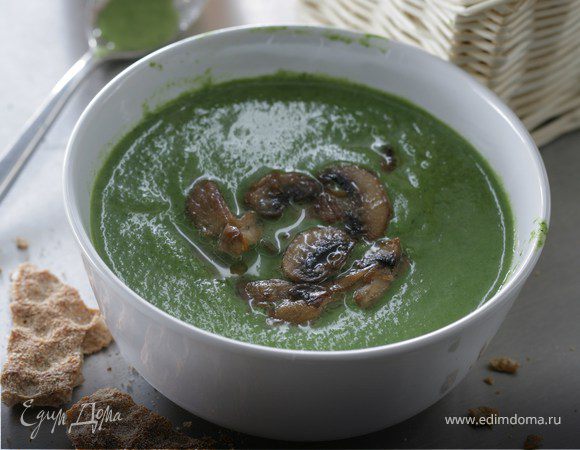 Холодный суп-пюре из петрушки Холодный суп-пюре из петрушки