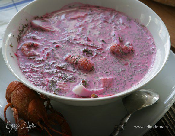 Холодник по-польски Холодник по-польски