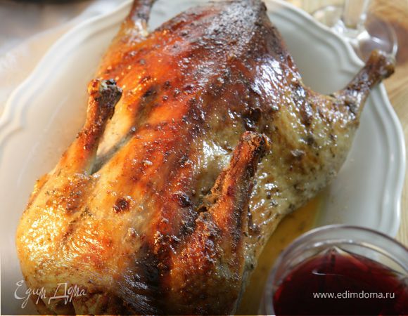 Пьяная утка Пьяная утка