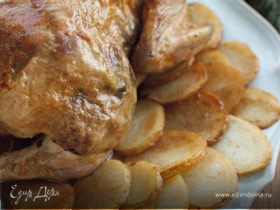 Фото рецепта