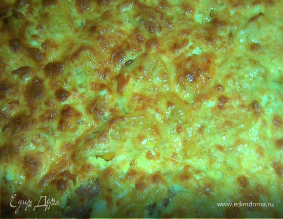 Пицца Пицца