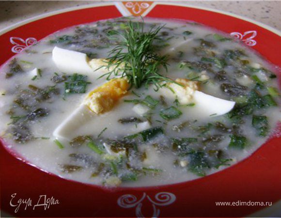 Холодник "Щавелевый" Холодник "Щавелевый"