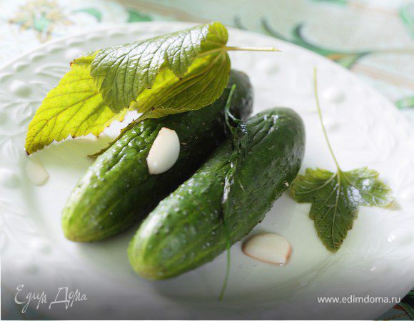 Закуска из малосольных огурцов и сметаны с зеленью Закуска из малосольных огурцов и сметаны с зеленью