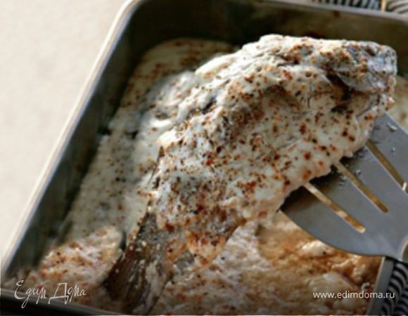 Карп (карась) в сметане