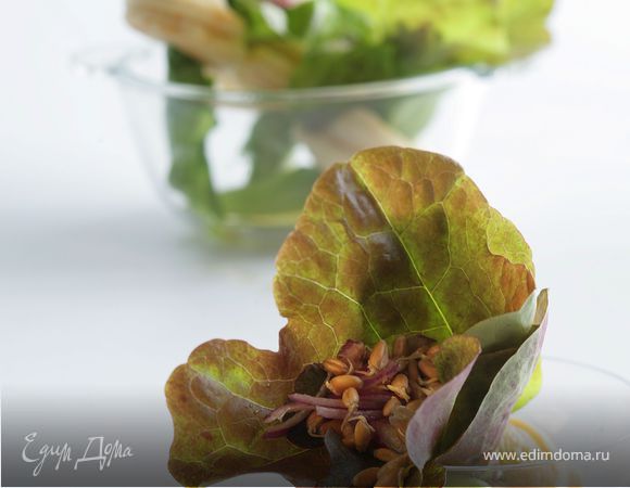 Скрутки из салата с зернами пшеницы 