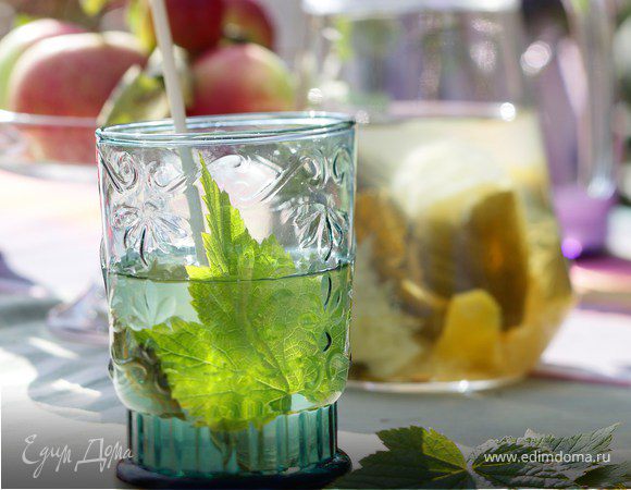 Лимонад с листьями смородины и мяты Лимонад с листьями смородины и мяты