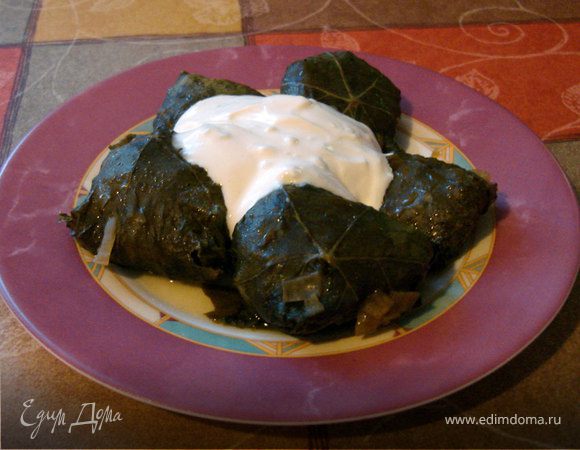 Голубцы в виноградных листьях (вариант дулмы) Голубцы в виноградных листьях (вариант дулмы)