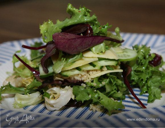 «Наполеон» из кускуса и гауды «Наполеон» из кускуса и гауды