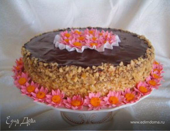 "Мишка на севере" 235