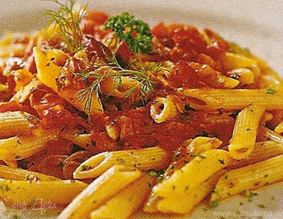 Паннетте аматричана