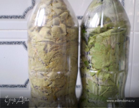 Заготовка виноградных листьев для долмы