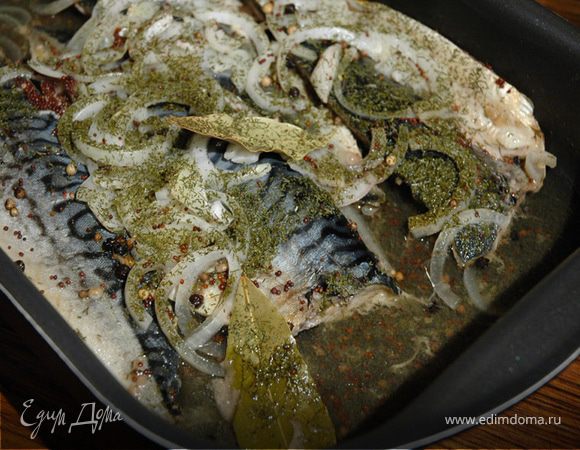 Скумбрия в вине Скумбрия в вине