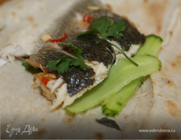 Пряный сибас в лаваше с огурцом и зеленью Пряный сибас в лаваше с огурцом и зеленью