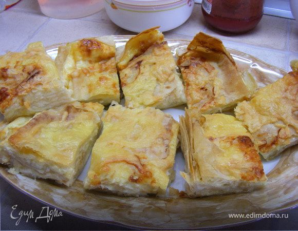 Ачма ленивая Ачма ленивая