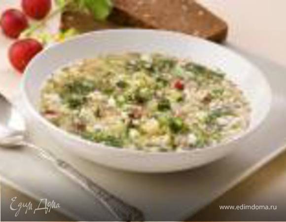 Холодник весенний