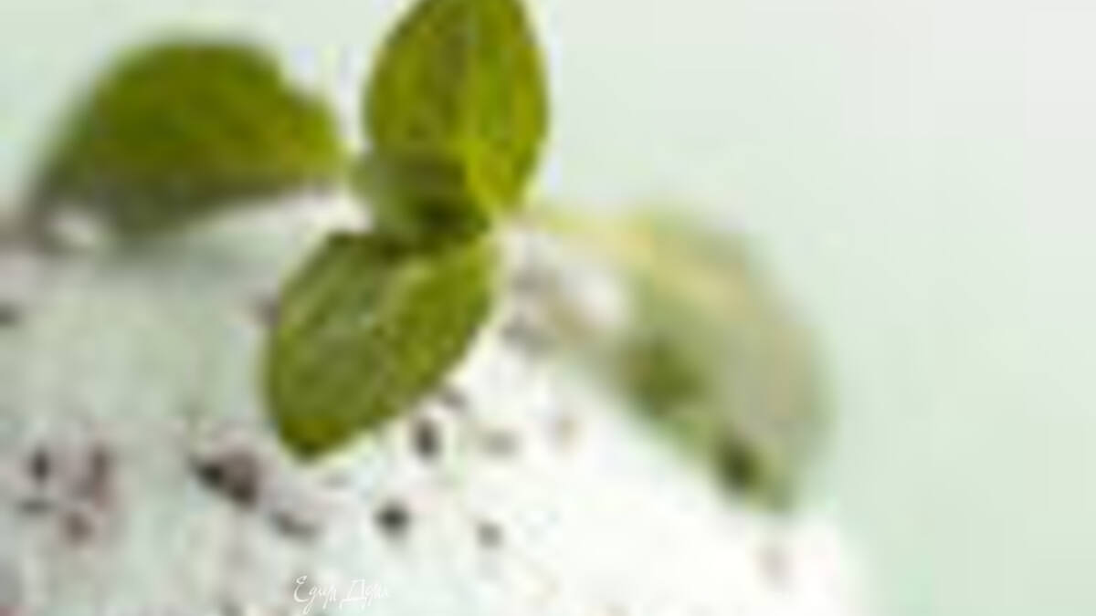 мороженое из маскарпоне