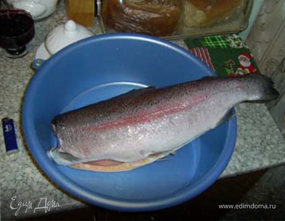 Форель морская, запеченая в сметане