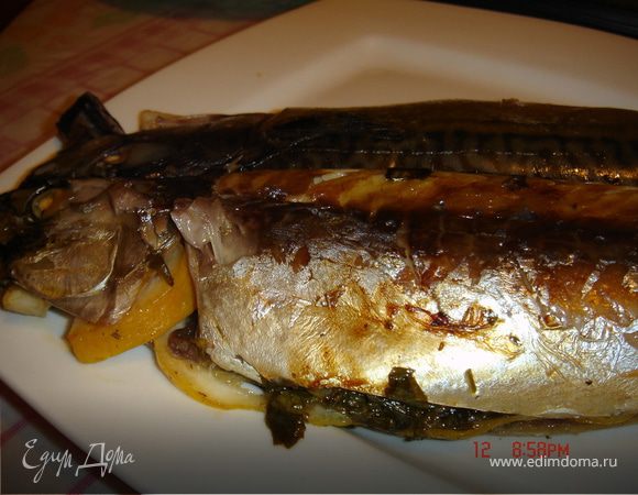 Скумбрия с травами и лимоном, запеченая в фольге Скумбрия с травами и лимоном, запеченая в фольге