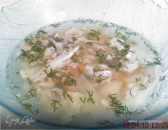 Уха из семги (норвежская)