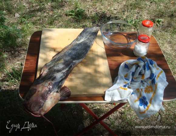 Сом на гриле. Сом на гриле.