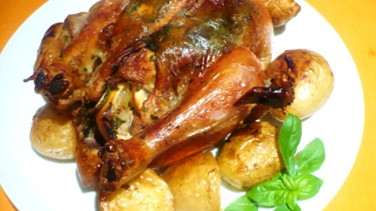 Золотая курочка