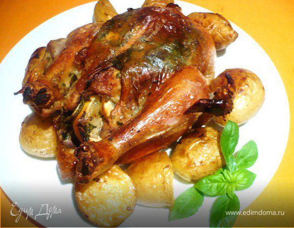 Золотая курочка