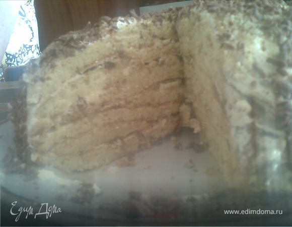 Торт "Черепашка" Торт "Черепашка"