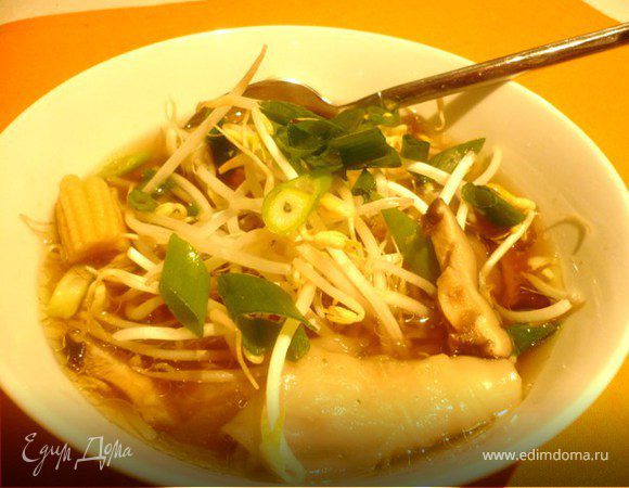 Кантонский суп с вонтонами