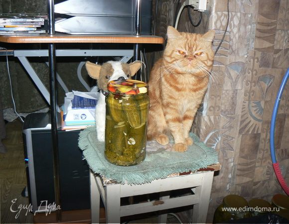 Хрустящие огурчики зимой