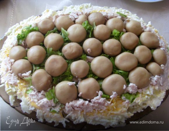 Грибы на поляне