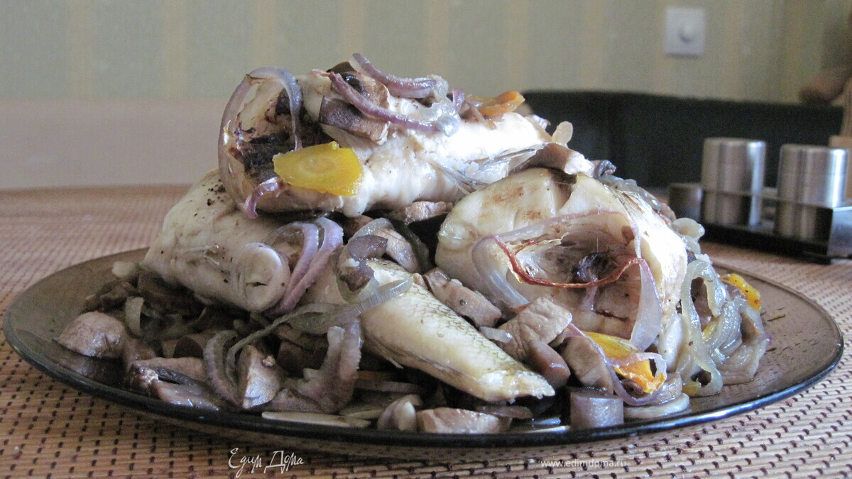 "Нототения на перине"