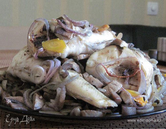 "Нототения на перине"