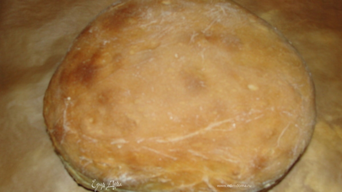 Тесто для пиццы или хлеба