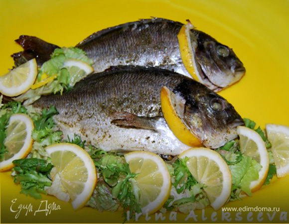 Дорада в духовке