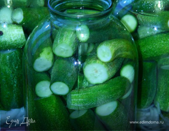 Консервированные огурцы. Консервированные огурцы.