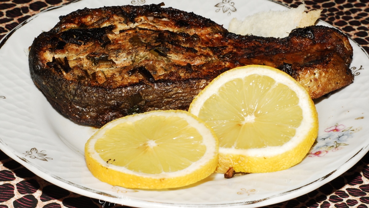 Рыба в лесу