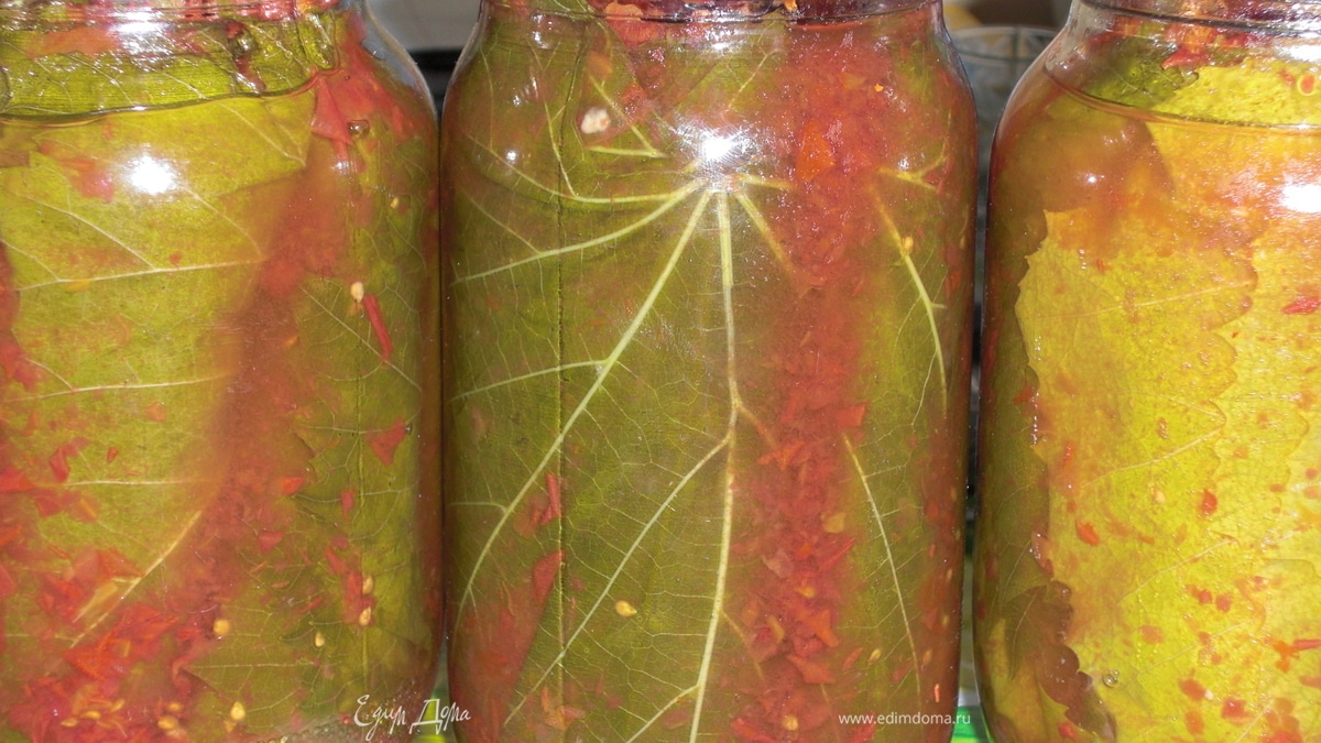 Заготовка виноградных листьев