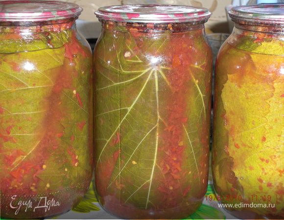 Заготовка виноградных листьев Заготовка виноградных листьев