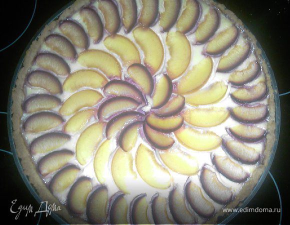 Пирог творожный со сливами Пирог творожный со сливами