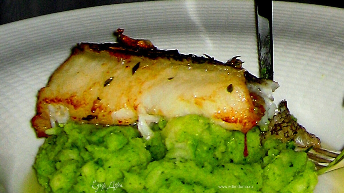 Судак «Аврора»