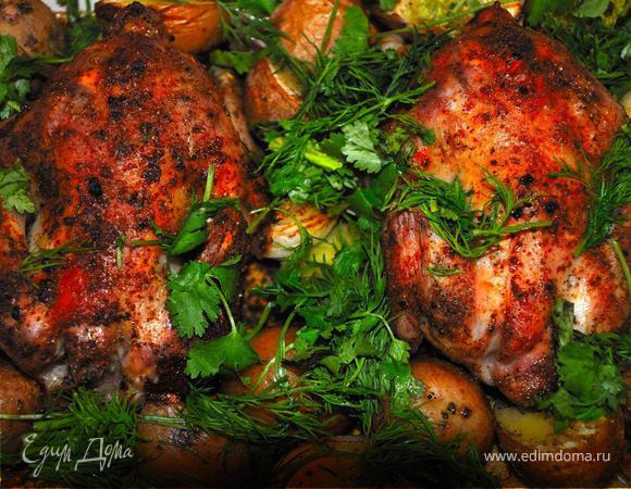 Жаркое из цыплят с печеным картофелем. (Pollo Arrosto Con Patate Al Forno)