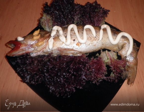 Фаршированный судак Фаршированный судак