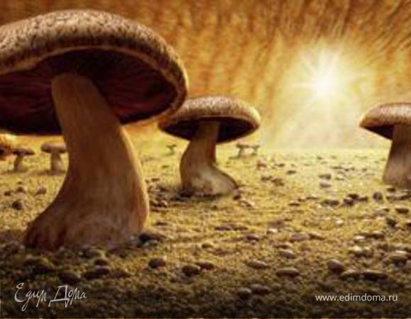 Молодые кабачки(как грибочки)