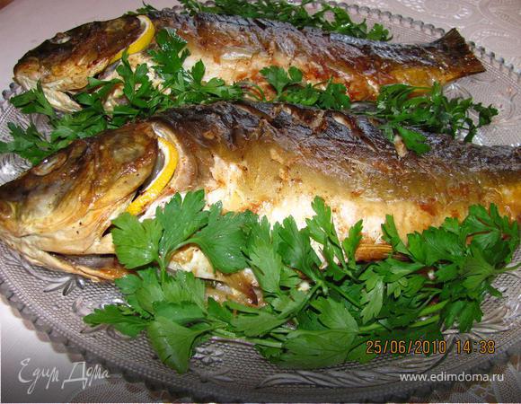 Вот так карп ! Вот так карп !