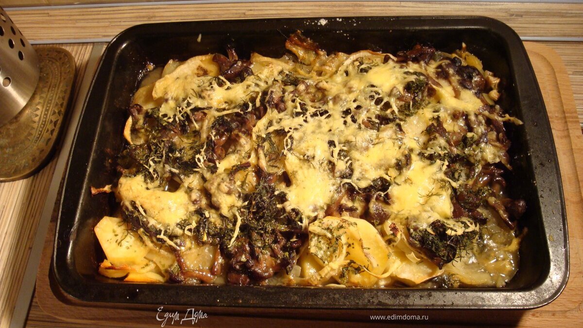 День куда-нибудь грибы!