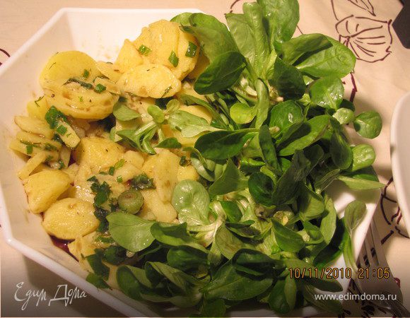 Австрийский картофельный салат (Kartoffelnsalat) Австрийский картофельный салат (Kartoffelnsalat)